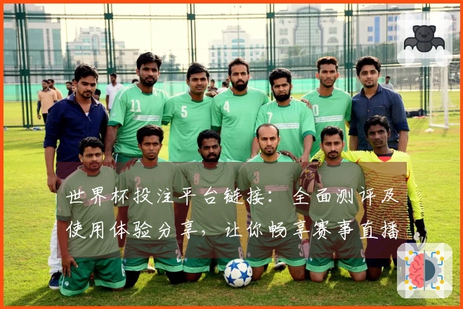 世界杯投注平台链接:全面测评及使用体验分享,让你畅享赛事直播乐趣