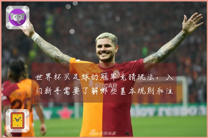 世界杯买足球的冠军竞猜玩法，入门新手需要了解哪些基本规则和注意事项？