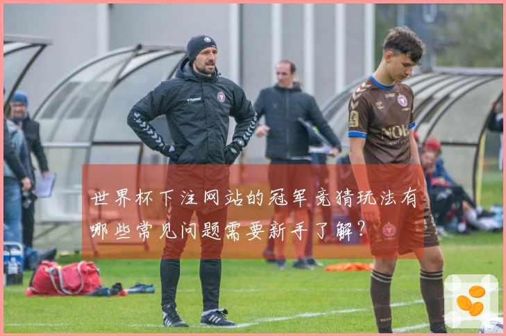 世界杯下注网站的冠军竞猜玩法有哪些常见问题需要新手了解？