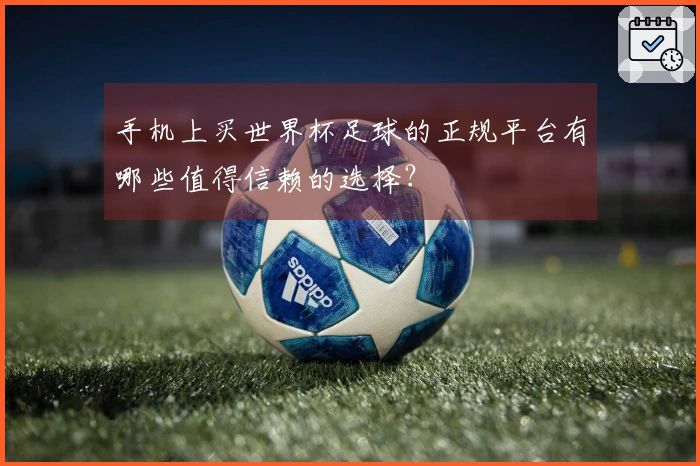 手机上买世界杯足球的正规平台有哪些值得信赖的选择？