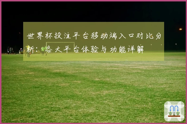 世界杯投注平台移动端入口对比分析：各大平台体验与功能详解