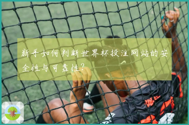 新手如何判断世界杯投注网站的安全性与可靠性？