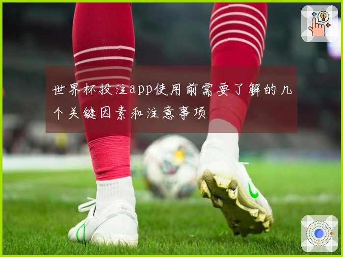 世界杯投注app使用前需要了解的几个关键因素和注意事项