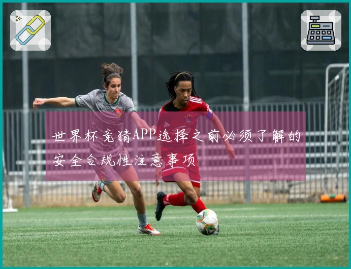 世界杯竞猜APP选择之前必须了解的安全合规性注意事项