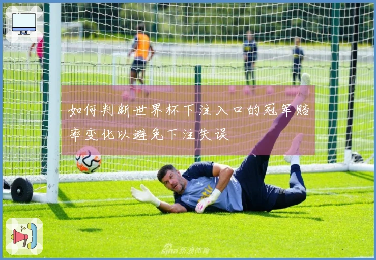 如何判断世界杯下注入口的冠军赔率变化以避免下注失误