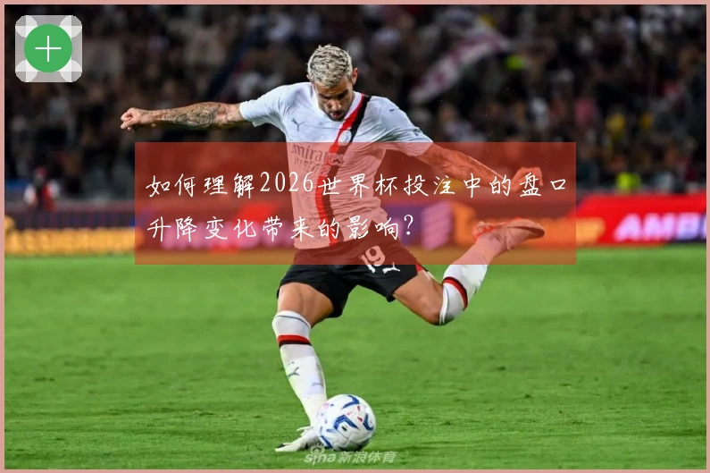 如何理解2026世界杯投注中的盘口升降变化带来的影响？