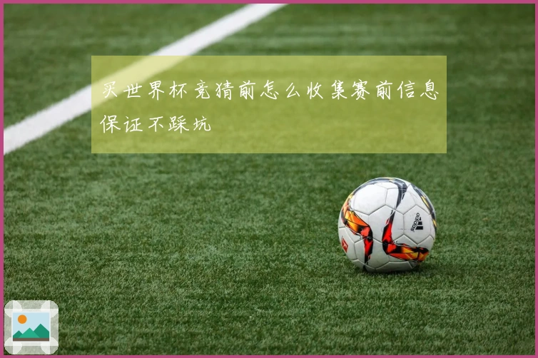 买世界杯竞猜前怎么收集赛前信息保证不踩坑