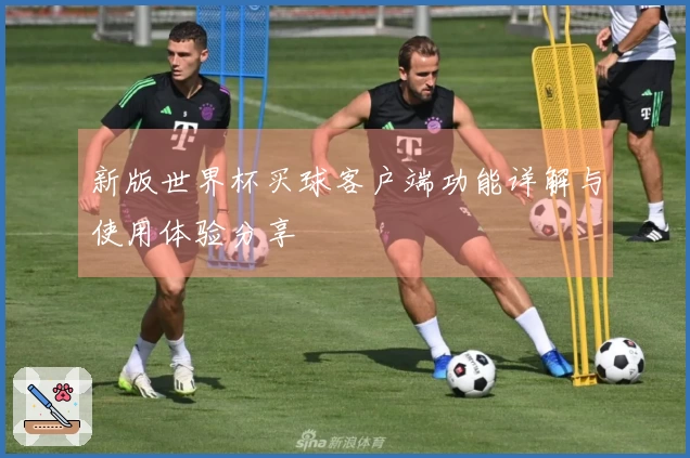 新版世界杯买球客户端功能详解与使用体验分享