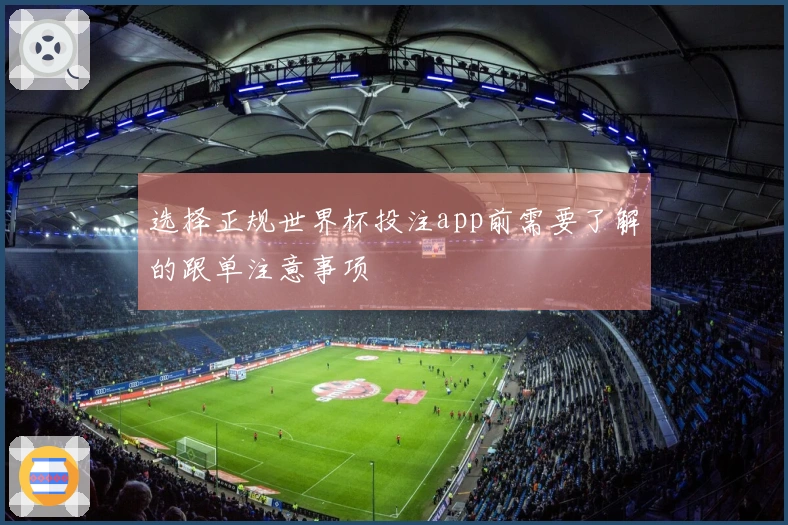 选择正规世界杯投注app前需要了解的跟单注意事项