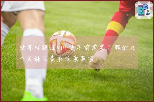 世界杯投注app使用前需要了解的几个关键因素和注意事项