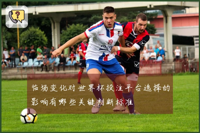 临场变化对世界杯投注平台选择的影响有哪些关键判断标准