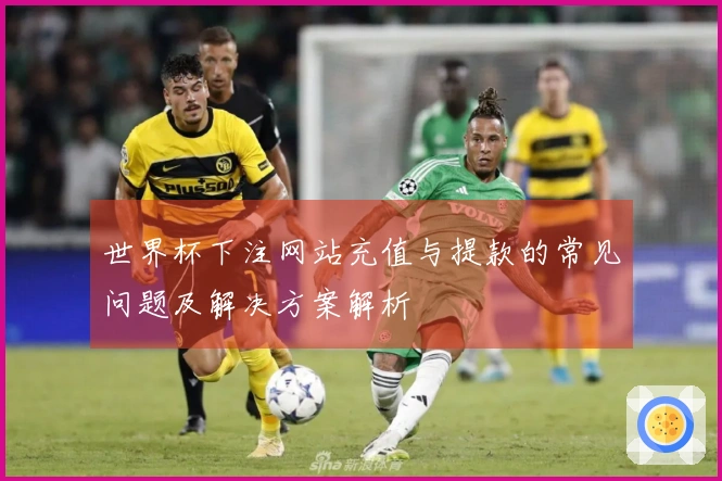 世界杯下注网站充值与提款的常见问题及解决方案解析