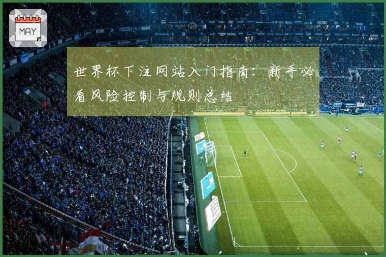 世界杯下注网站入门指南：新手必看风险控制与规则总结