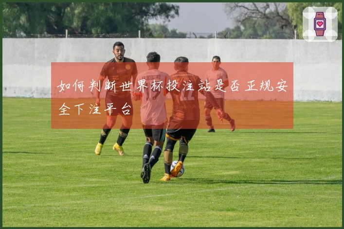 如何判断世界杯投注站是否正规安全下注平台