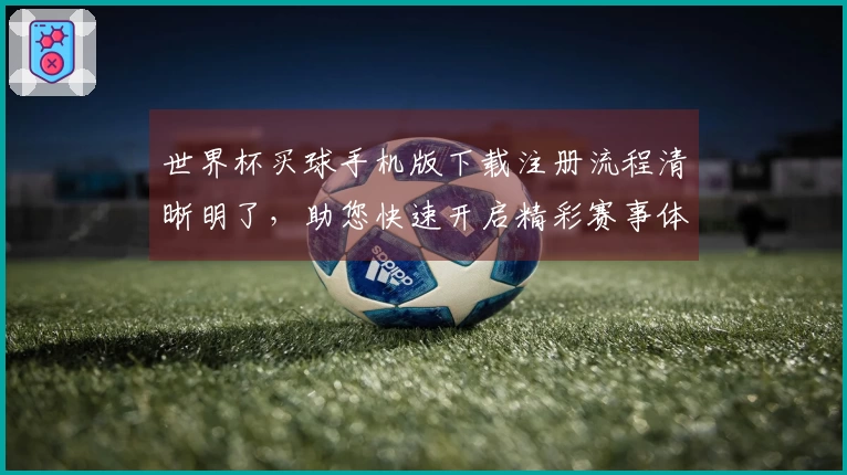 世界杯买球手机版下载注册流程清晰明了，助您快速开启精彩赛事体验