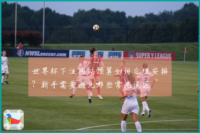 世界杯下注网站预算如何合理安排？新手需要避免哪些常见误区