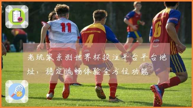 老玩家亲测世界杯投注平台平台地址,稳定流畅体验全方位功能