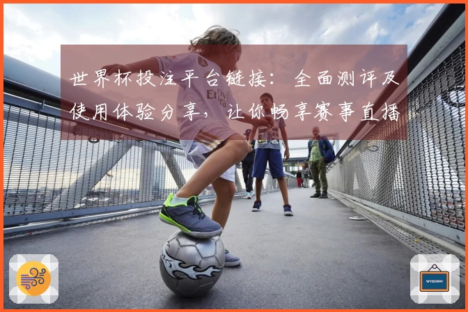 世界杯投注平台链接：全面测评及使用体验分享，让你畅享赛事直播乐趣