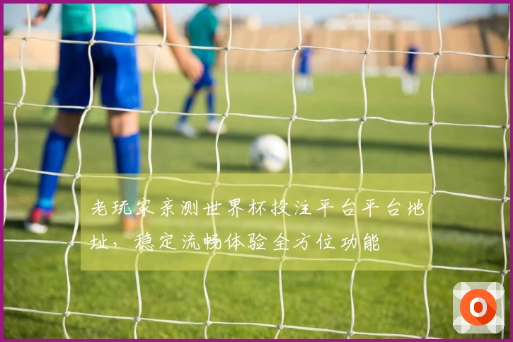 老玩家亲测世界杯投注平台平台地址，稳定流畅体验全方位功能