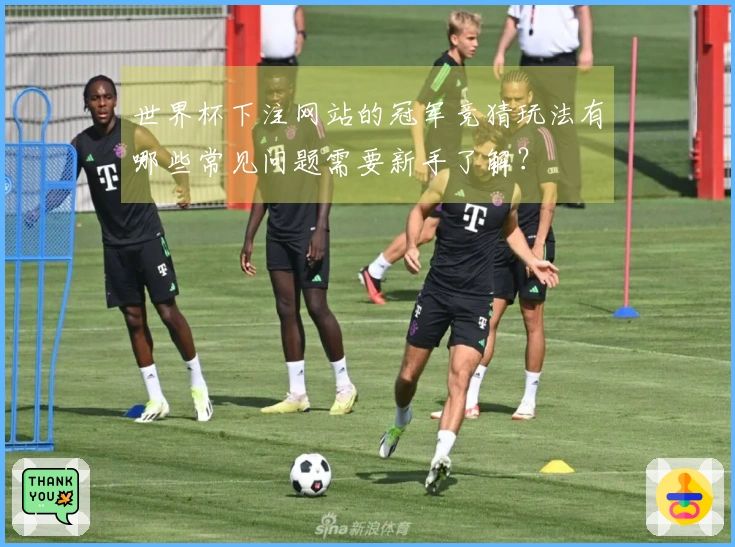 世界杯下注网站的冠军竞猜玩法有哪些常见问题需要新手了解？