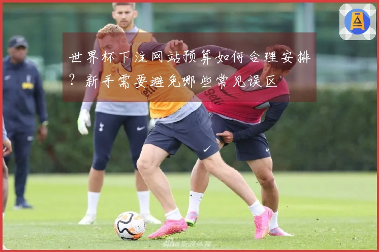 世界杯下注网站预算如何合理安排？新手需要避免哪些常见误区
