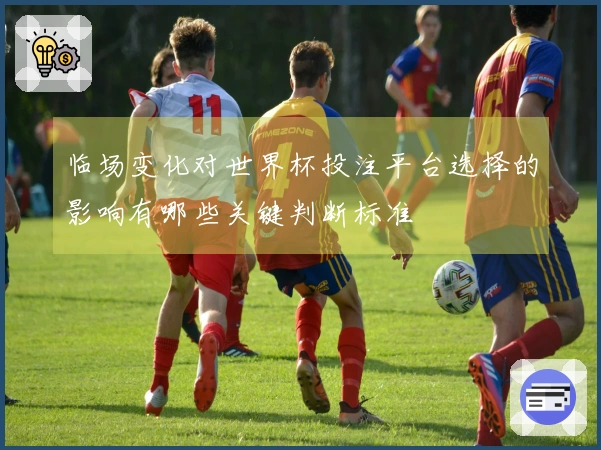 临场变化对世界杯投注平台选择的影响有哪些关键判断标准