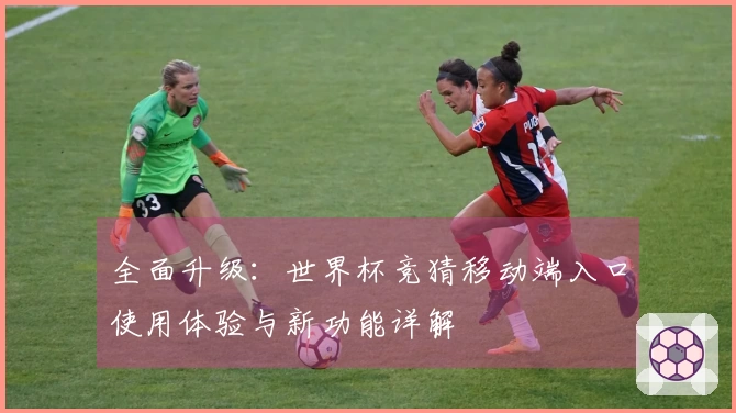 全面升级：世界杯竞猜移动端入口使用体验与新功能详解