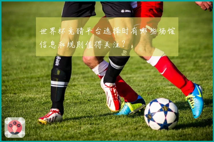 世界杯竞猜平台选择时有哪些场馆信息和规则值得关注？
