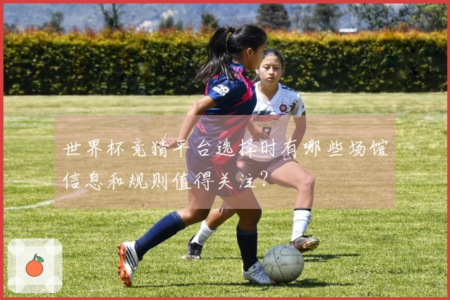 世界杯竞猜平台选择时有哪些场馆信息和规则值得关注？